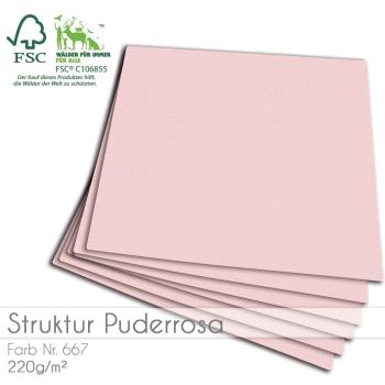 Cardstock "Struktur" 12"x12" 210g/m² (30,5 x 30,5cm) in struktur puderrosa