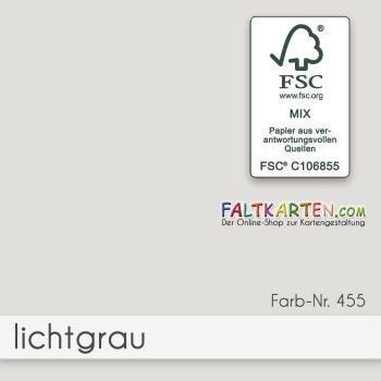 Cardstock "Premium" 12"x12" 240g/m² (30,5 x 30,5cm) in lichtgrau