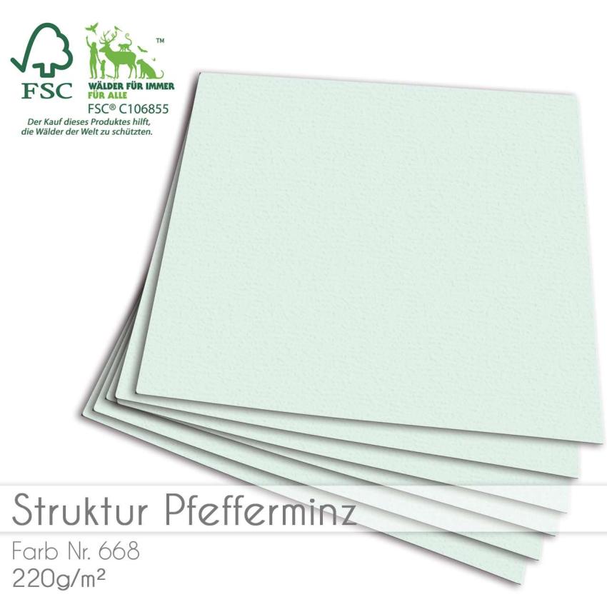 Cardstock "Struktur" 12"x12" 210g/m² (30,5 x 30,5cm) in struktur pfefferminz